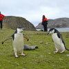 Antarctica