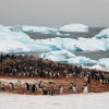 Antarctica