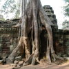 Cambodia