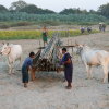 Myanmar