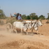 Myanmar