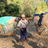 Myanmar